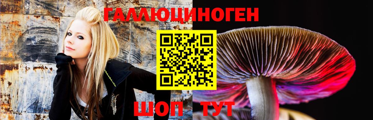 Сокол  Псилоцибиновые грибы мухоморы  Вход с VPN 